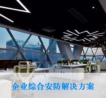 企業綜合安防解決方案