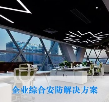 企業(yè)綜合安防解決方案